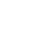 light logo